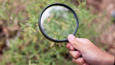 Melihat lebih detail dengan Kaca Pembesar