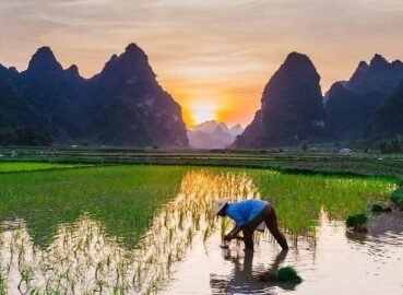 Menghargai Kerja Keras